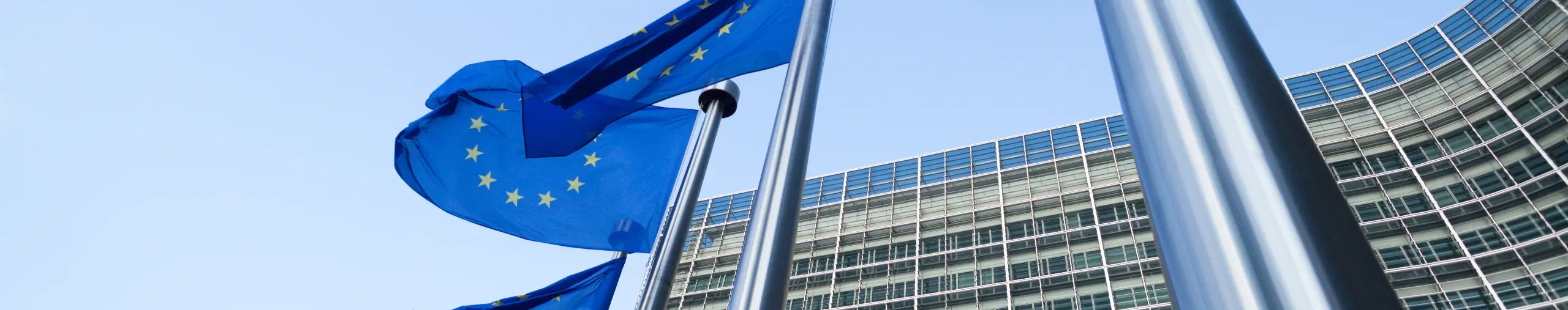 European flags in front of the Berlaymont building in Brussels European flags in front of the Berlaymont building in Brussels
