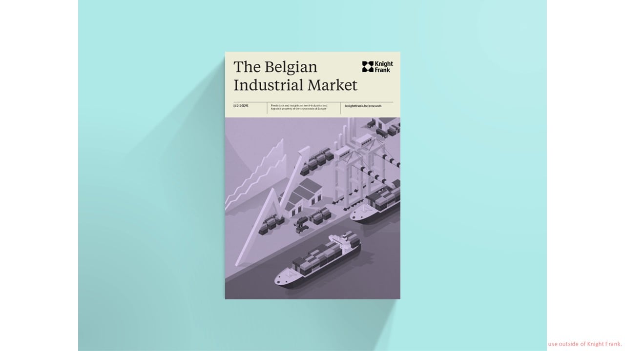 Image of The Belgian Industrial Market